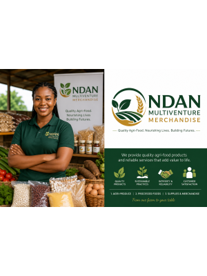 Dauda Ayuba Dauda, Ndan Multiventure Merchandise
